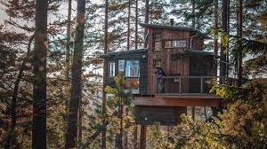 You can use the special requests box when booking, or contact the property directly with. Luxury Tree House Norway Vlog 06 Wild With Child Youtube