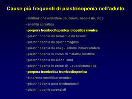 Distruzione periferica e ridotta produzione. Morfologia E Funzione Delle Piastrine Ppt Scaricare