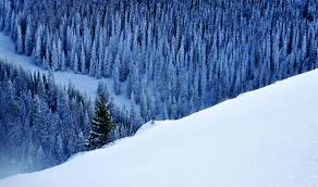 赛里木湖下雪啦！游客仿佛置身于梦幻般的童话世界