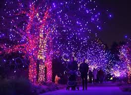 Official flickr site of denver botanic gardens. Parade Of Lights Zoo Lights Denver Christmas Lights Holiday Displays