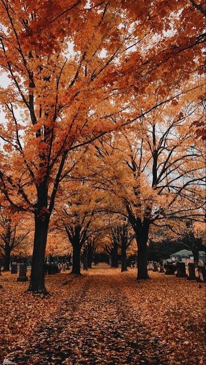 Spooky Fall Season 🍂🪦🎃👻🕸️🍁