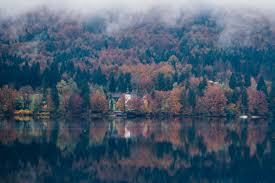 The latest tweets from slovenian government (@govslovenia). 14 Best Things To Do In Slovenia For An All Round Experience Hostelworld