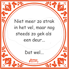 Verras De Jarige Met Een Grappig Spandoek Opblaasfiguurshop