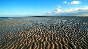 Wattenmeer n (genitive wattenmeeres or wattenmeers, plural wattenmeere). Nordsee Wattenmeer Nordsee Kultur Planet Wissen