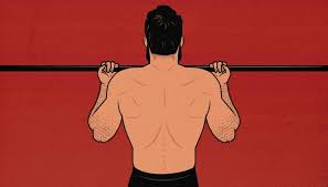 Lateral suprahyoid infrahyoid larynx pharynx paravertebral. The Chin Up Hypertrophy Guide Outlift