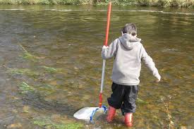 A detention basin or retarding basin is an excavated area installed on, or adjacent to, tributaries of rivers, streams, lakes or bays to protect against flooding and, in some cases, downstream erosion by storing water for a limited period of time. Name That Mini Beast
