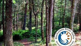 Mercy Woods Hike