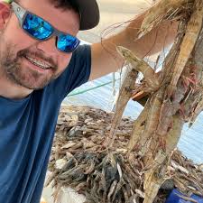 What are some recommended tree cutting services in Mobile, Alabama?