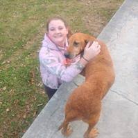 Hawkins racers reign at Cherokee Race Park