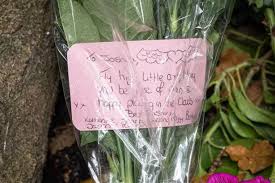 Devastated mum 'snuggled Maypole schoolboy until his heart stopped beating' 