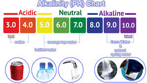 About Cerra Water Cerra Water Alkaline Antioxidant Water
