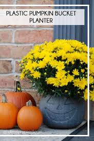 Free shipping on orders over $35! Plastic Pumpkin Planter Endlessly Inspired