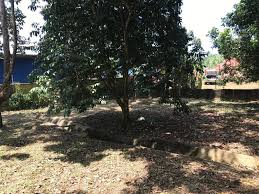 See more of perkhidmatan tebang pokok on facebook. Perkhidmatan Tebang Pokok Kuantan Laman Rumput