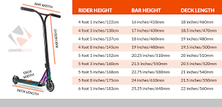 Scooter Bar Height Chart Creepingthyme Info
