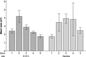 Image result for Polystachya heckmanniana