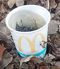 Total pay average the typical mcdonald's area real estate manager salary is $113,335. Mcdonald S Wikipedia