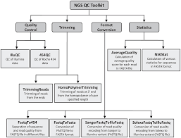 Qc Flow Chart Sample Symbols Template Outgoing Examples Qa