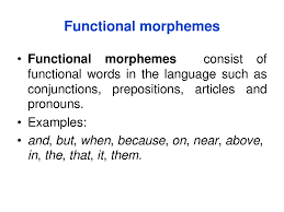 For example, each word in the following sentence is a distinct morpheme: Morphology And Word Formation Ppt Download