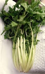 Si tratta di una buona e veloce insalata fredda da preparare durante la stagione primaverile. Sono Arrivate Le Famose Puntarelle Cortobio