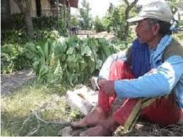 Golongan iiia = pangkat penata muda. Mengapa Petani Indonesia Tidak Sejahtera Ini Alasan Dan Cara Mengatasinya Ilmubudidaya Com