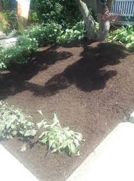 We have been providing lawn care, tree care, landscaping and pest services in pennsylvania to both residential and commercial clients since 1981. Tomlinson Bomberger Mytombom Twitter