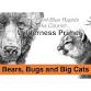 Bears, Bugs and Big Cats event image