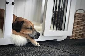 Furhaven pet dog bed, dog bed orthopedic memory foam dog beds, removable washable cover, dog bed for crates, sofa and couch. Home Doggy Denz