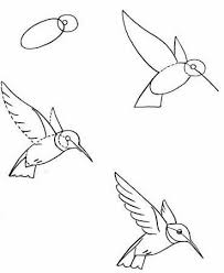 Pin By Nadine Powilleit On Riso Bird Drawings Hummingbird Drawing Drawings