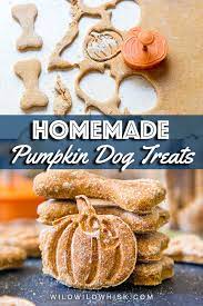 Pumpkin Dog Treats Recipe Healthy Dog Treats Homemade Dog Treats Homemade Recipes Healthy Dog Treats