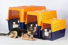 They have been making reliable crates for pet shipping for a long time and are approved by all airlines. Airline Approved Pet Travel Crates In Nz Jetpets Nz