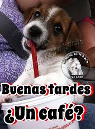 La mejor galeria de ≫ imágenes de buenas tardes con frases lindas para dedicar feliz tarde ⭐por whatsapp al amor mio, familia & amigas & amigos etc【gratis】. Imagenes Con Frases De Buenas Tardes Para Compartir