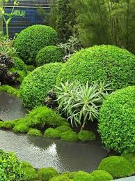 Shapes And Textures Great Juxtaposition As An Alternative To Water You Could Use Large Black Pebbles Simi Landscape Design Garden Design Beautiful Gardens
