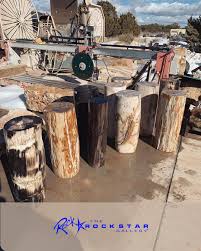 Petrified Wood Stone Fountains By The Rock Star Gallery Stone Fountains Fountains Wood Stone