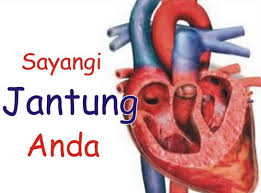 Penyakit jantung adalah kondisi yang ditandai dengan kelainan jantung. Cara Mencegah Serangan Jantung Pencegahan Serangan Jantung