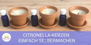 Wenn du auf aggressive chemie zur insektenabwehr lieber verzichten möchtest, kannst diy mückenspray. Citronella Kerzen Gegen Mucken Selbermachen Aroma 1x1