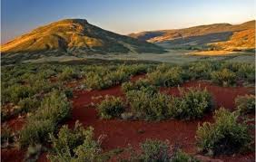 See full list on uncovercolorado.com Red Mountain Open Space Seasonal Closure Effective Immediately
