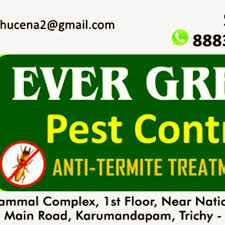 5.pest generates oxygen which help to breathe easily and feel fresh always in room when the window and doors are closed. Evergreen Pest Control Services Trichy Tamilnadu Pest Control Service In Tiruchirappalli