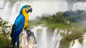 Euer team für einen neustart in paraguay paraguay ist ein wunderschönes land voller möglichkeiten und bietet die perfekten voraussetzungen das eigene. Paraguay Flusslandschaften Kein Zugang Zum Meer