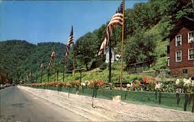 World S Longest Flower Box Long Flowers Flower Boxes Flowers