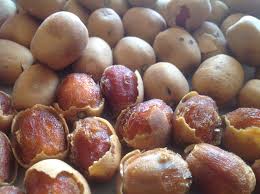 Image result for Balanites