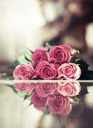 الصباح غرد في سنا الليل براق والليل غرد في سنا الصبح مشتاق واشواقي ارسلها تلو الاشواق يارب صبحهم beautiful rose flowers flowers bouquet gift beautiful roses