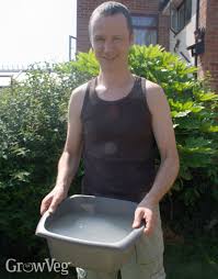 Most people use a simple grey water system, but in this v. Using Grey Water To Help Plants Survive A Hot Summer