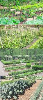 Garden Landscaping Ideas Brisbane Each Garden Landscape Design Software Free Backyard Vegetable Gardens Gardening For Beginners Vegetable Garden For Beginners