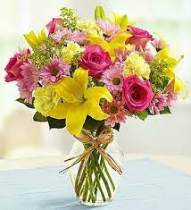 We did not find results for: 1800flowers Home Facebook
