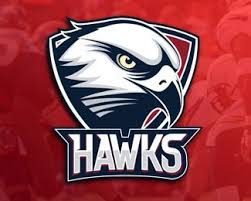 Philadelphia 76ers vs atlanta hawks nba betting matchup for jun 11, 2021. Hawks Logo Design Logo For A Sports Team Can Use The Football Team Basketball Team Baseball Team Team Logo Design Sports Logo Design Graphic Design Logo