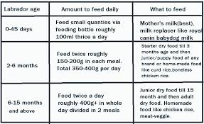 51 Prototypical 1 Year Baby Food Chart In Tamil