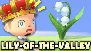 How To Get Lily Of The Valley In Animal Crossing New Horizons Jacob S Ladder Guide Youtube