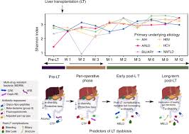 1 department of medicine, division of infectious diseases, columbia university irving medical center, 630w 168th street, new york, ny, 10032, usa. Colonizing Multidrug Resistant Bacteria And The Longitudinal Evolution Of The Intestinal Microbiome After Liver Transplantation Nature Communications