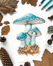Pin On Pencil Drawings