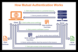 Tls mutual authentication has a few advantages from a security standpoint. Client Authentication Certificate 101 How To Simplify Access Using Pki Authentication Hashed Out By The Ssl Store